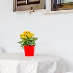 Rozmary Apartment Supetar