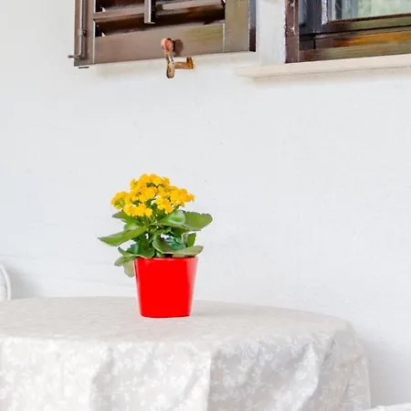 Rozmary Apartment Supetar